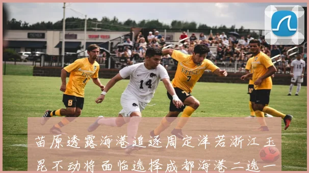 苗原透露海港追逐周定洋若浙江玉昆不动将面临选择成都海港二选一