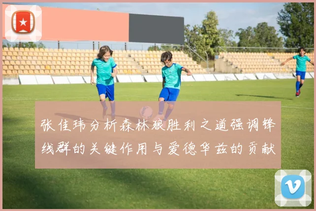 张佳玮分析森林狼胜利之道强调锋线群的关键作用与爱德华兹的贡献