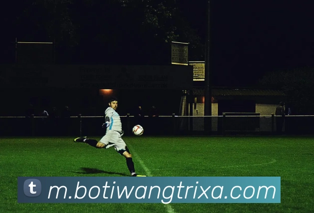 博体网品牌故事